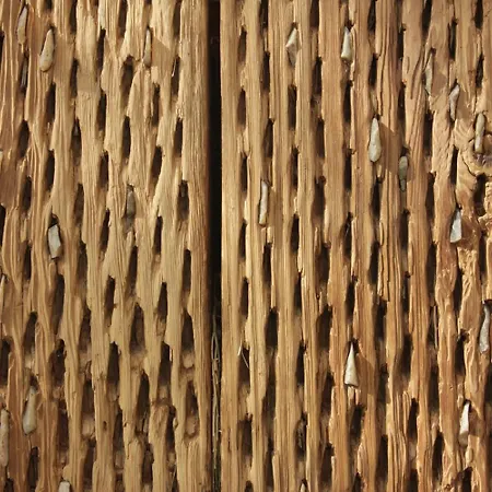 酒店 科尼亚戴尔维士酒店