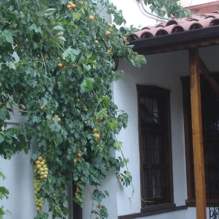 科尼亚戴尔维士酒店